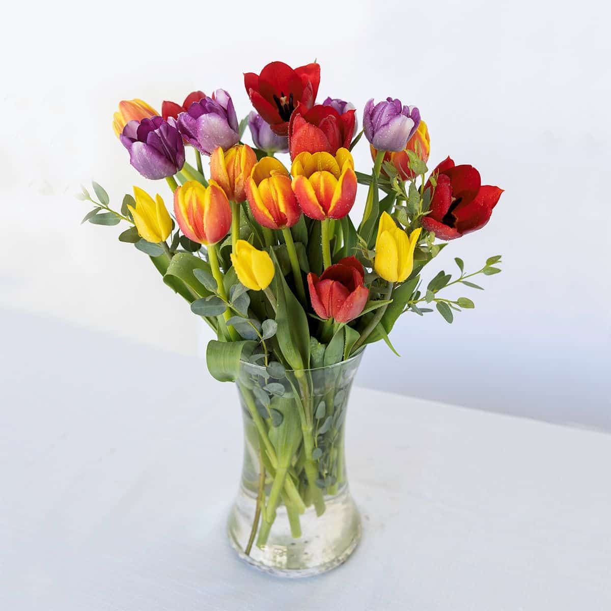 20 Fall Tulip Mix